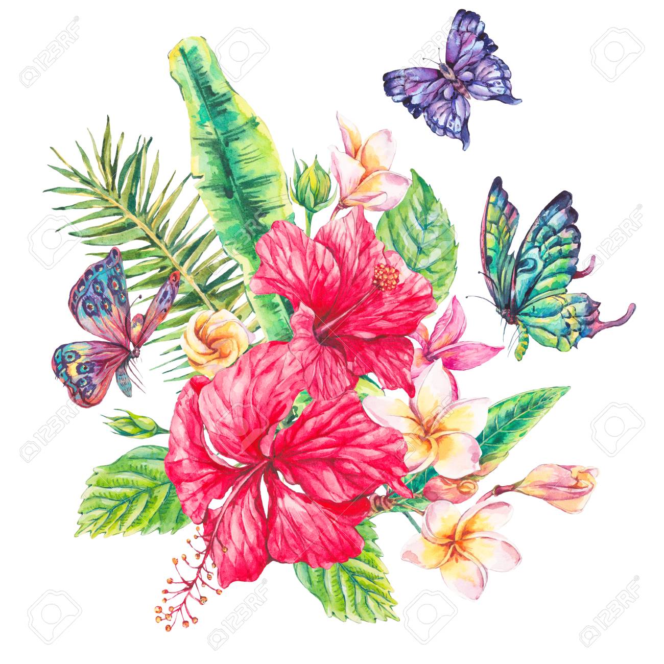 watercolor vintage floral tropical greeting card exotic flowers