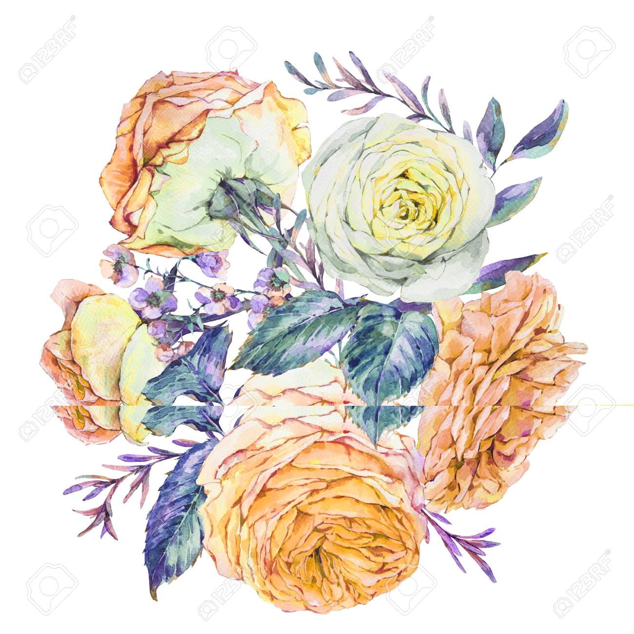 ヴィンテージ水彩ピンクの英語のバラ の写真素材 画像素材 Image