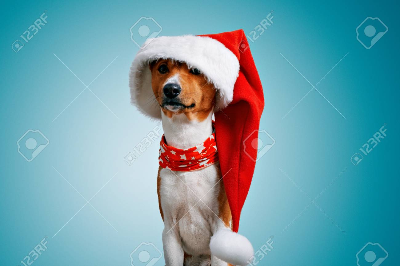 oversized santa hat