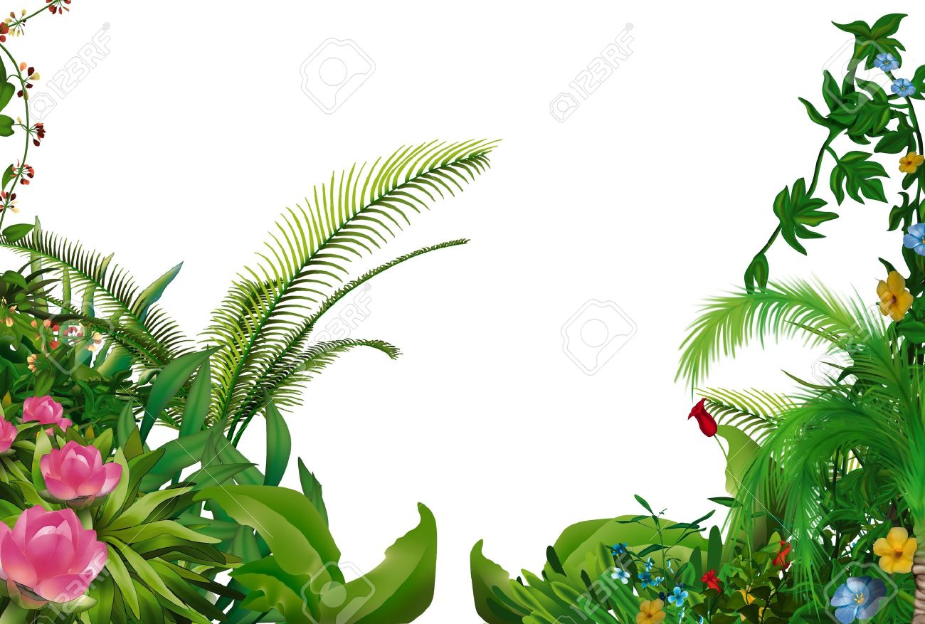 Tropical Plants 1 Hand Drawn Background Illustration Stock Photo Picture And Royalty Free Image Image