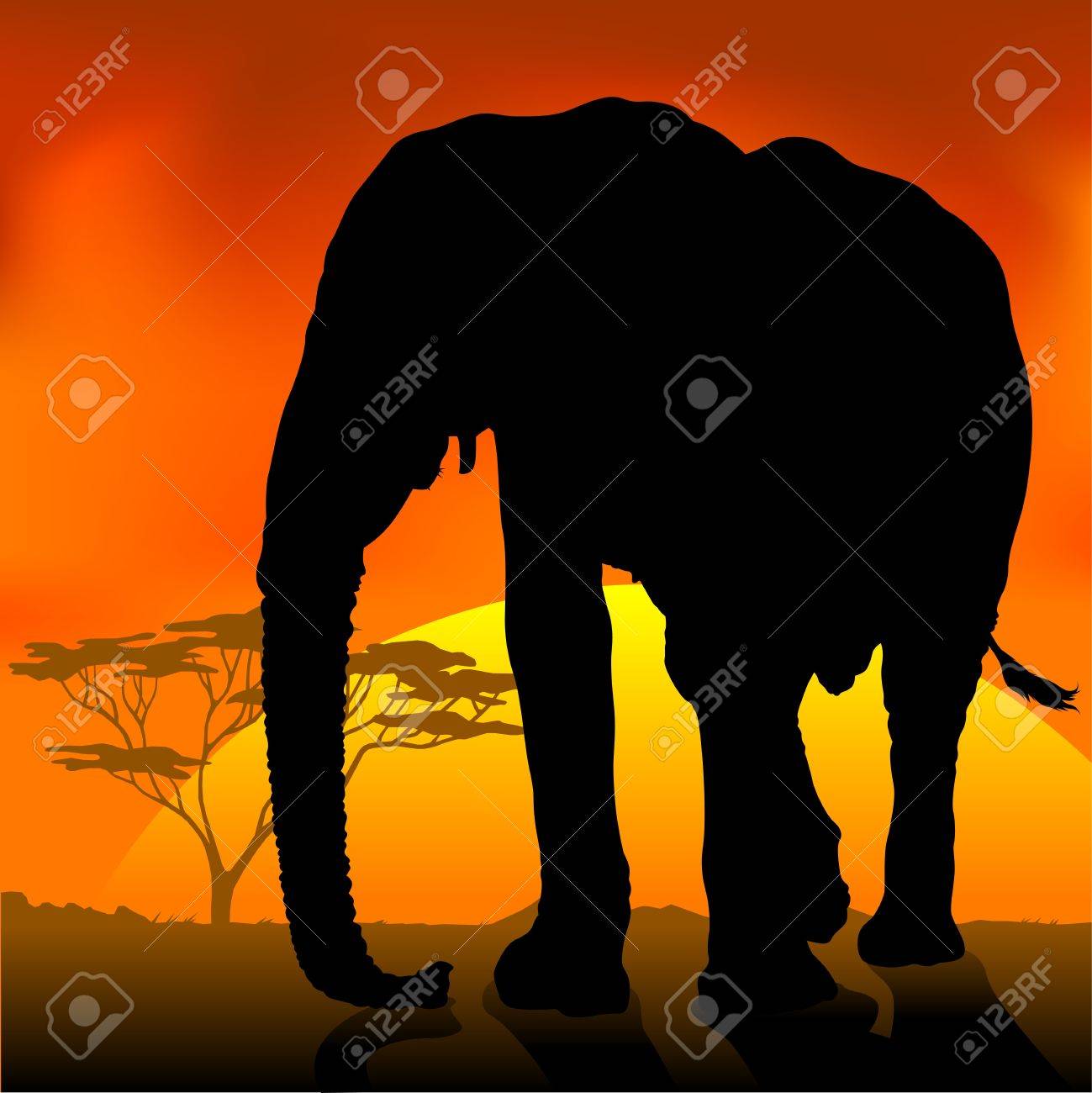 A group of small and big elephant silouettes - vector graphic Stock Vector  Image \u0026 Art - Alamy, image size:1299x1300