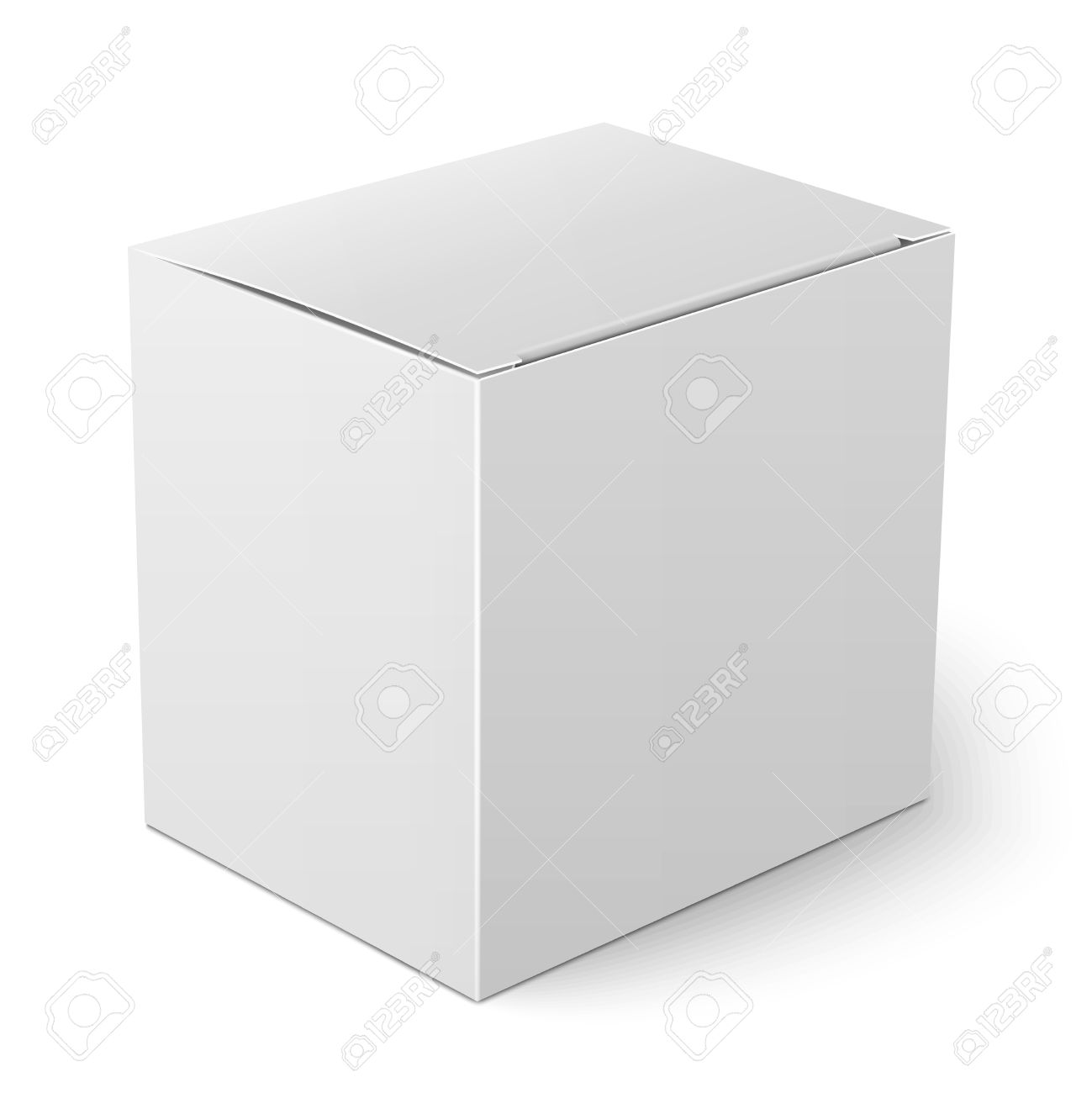 blank paper or cardboard box template with flap cover standing