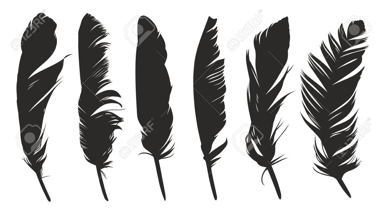 鳥の羽 のイラスト素材 ベクタ Image