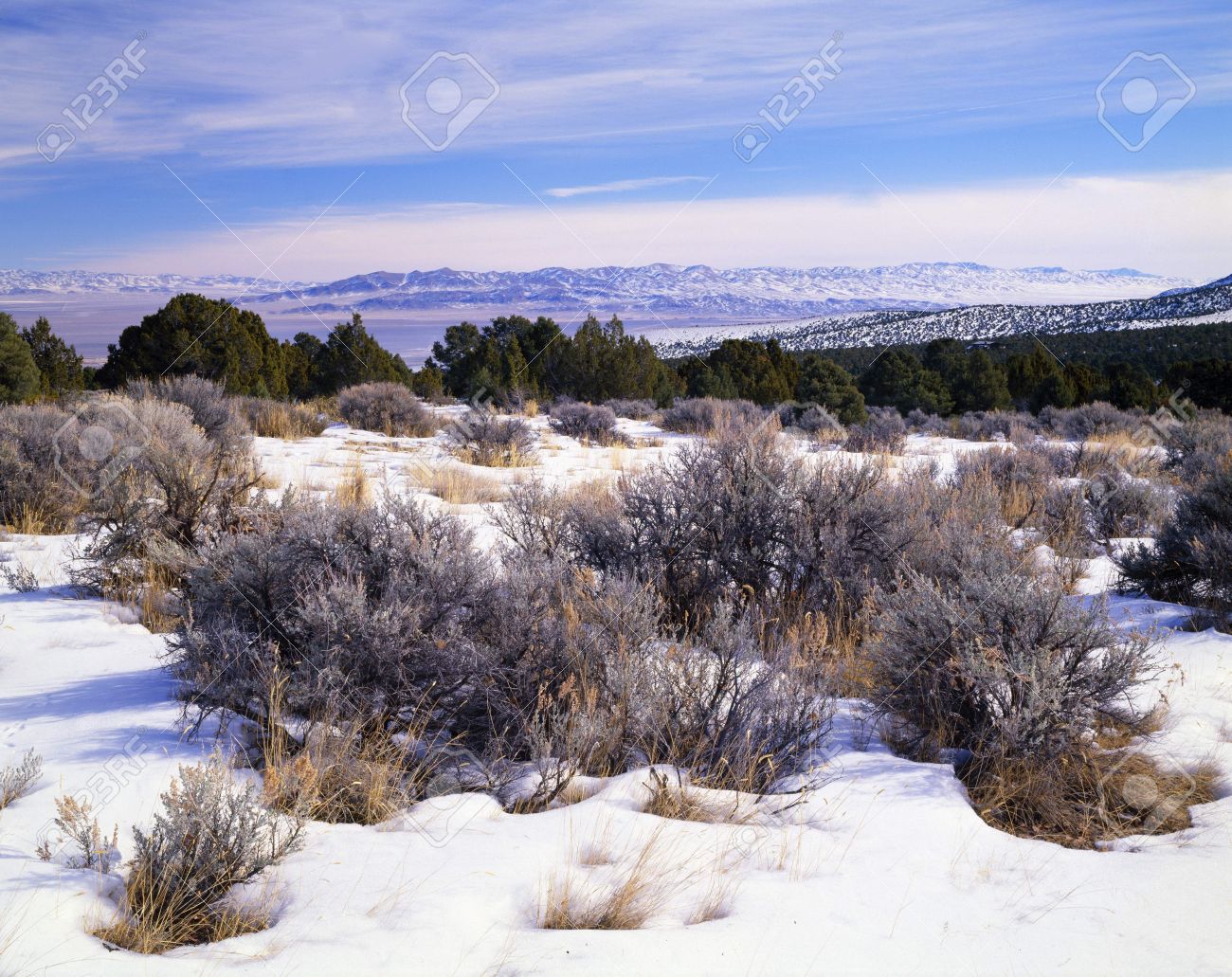 a high desert winter landscape great basin national park stock great basin desert