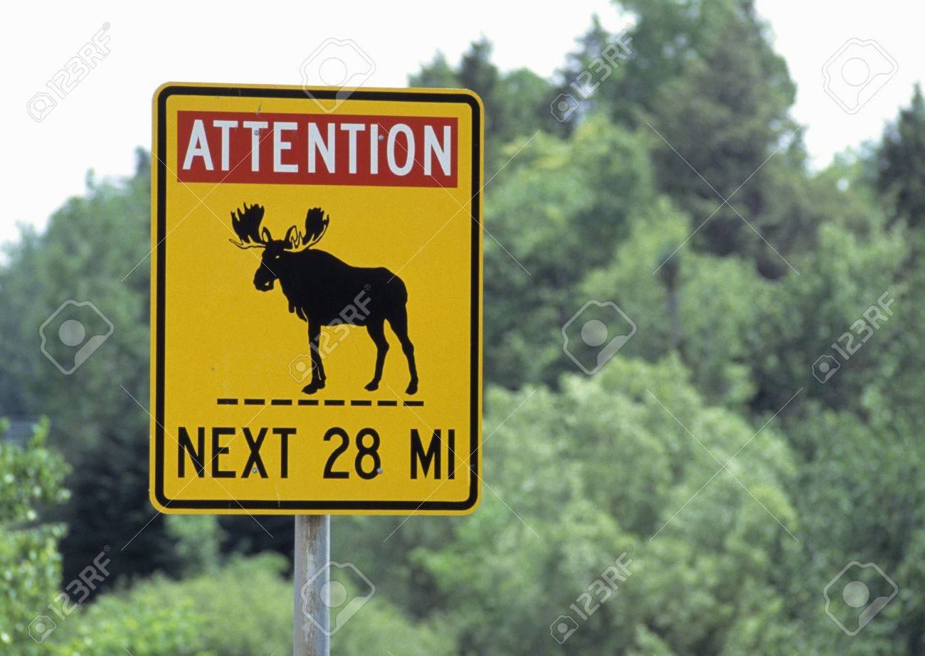 moose crossing sign stock photo picture and royalty free image