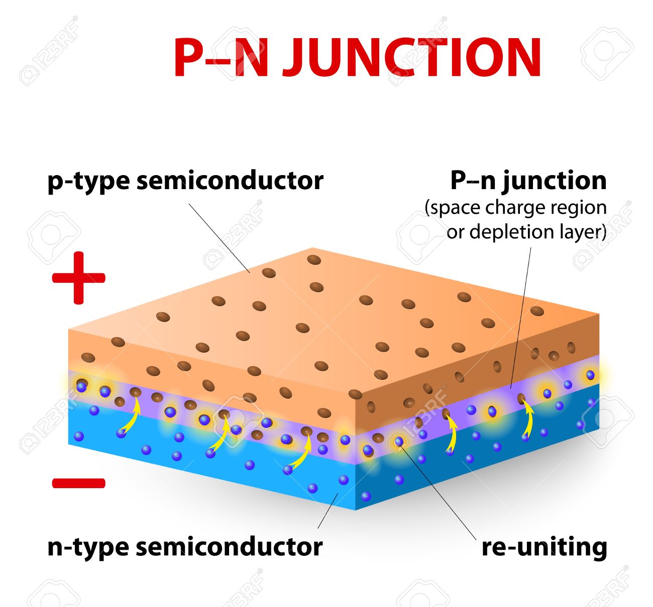 P-N Junction