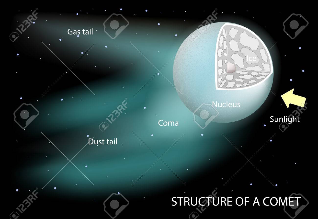 structure of a comet diagram showing the nucleus, coma and tails Comet Diagram Worksheet structure of a comet diagram showing the nucleus, coma and tails the dust