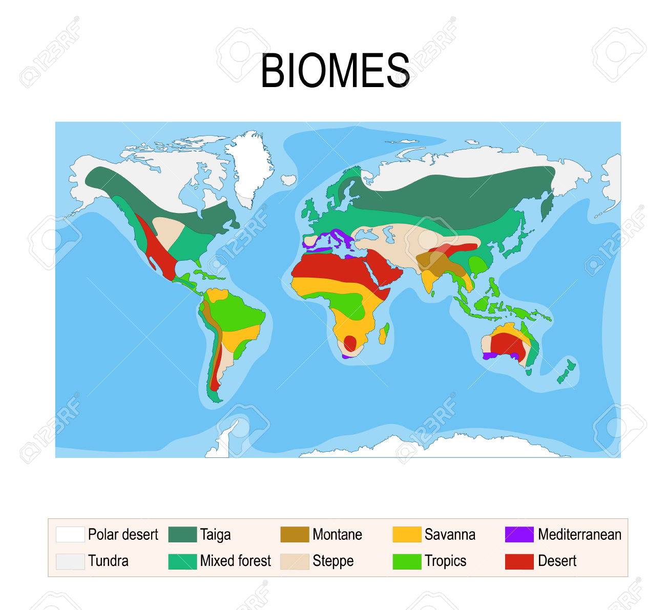 Biomes. Terrestrial ecosystem is a community of living organisms. Biotope: montane, desert, tropics, savanna, steppe, mediterranean, mixed forest, taiga, tundra and polar desert. Vector map - 84556951 Biomes. Terrestrial ecosystem is a community of living organisms. Biotope: montane, desert, tropics, savanna, steppe, mediterranean, mixed forest, taiga, tundra and polar desert. Vector map - 84556951