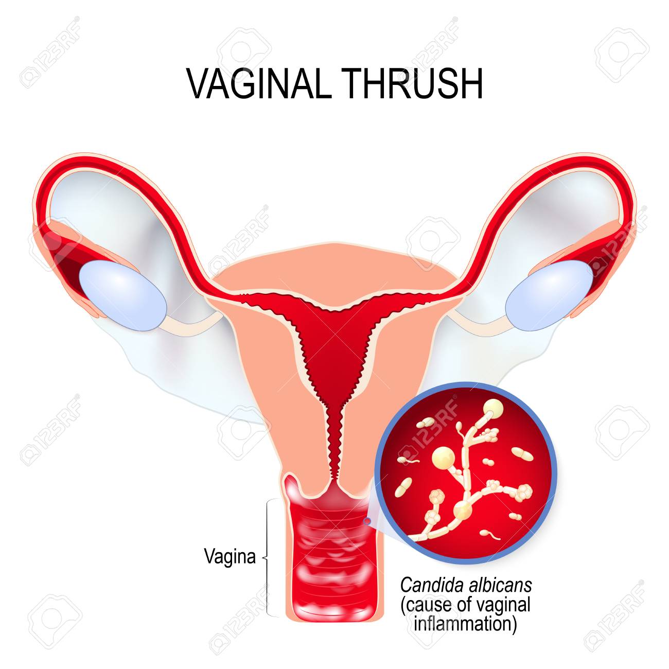Fucking women pee holes Hairy vagina galitsin