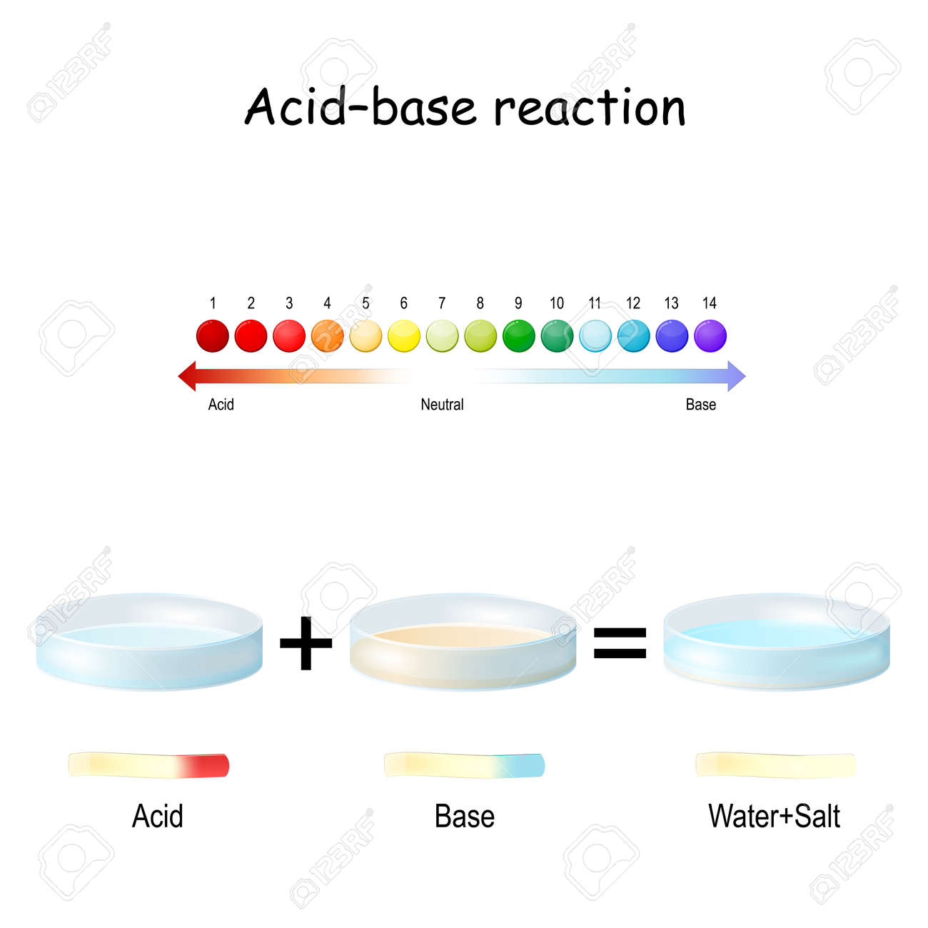 Acid – Base Reaction. Chemical Reaction Between An Acid And A Base. Used To  Determine PH. Bronsted – Lowry Theory. PH Scale. Litmus Paper Test Results.  Vector Illustration For On-line Education, School,