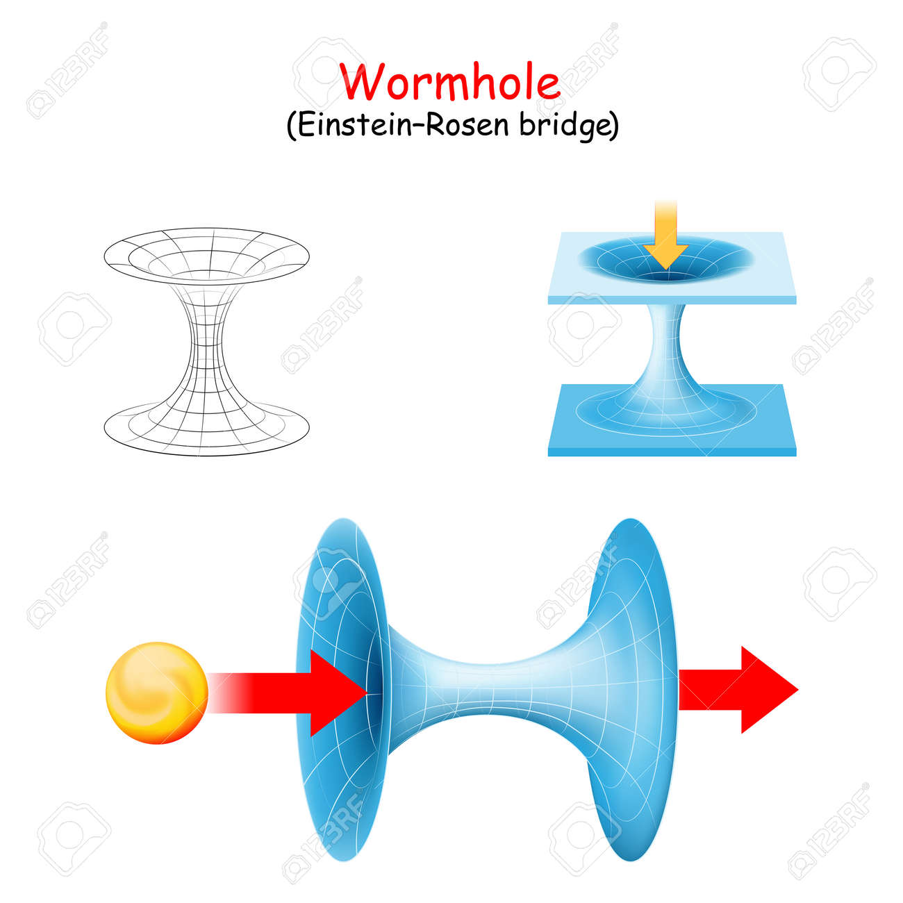 Wormhole. Einsteinâ€“Rosen Bridge. Travel Or Cosmic Teleport In Spacetime.  Vector Diagram Royalty Free SVG, Cliparts, Vectors, and Stock Illustration.  Image 183693211.