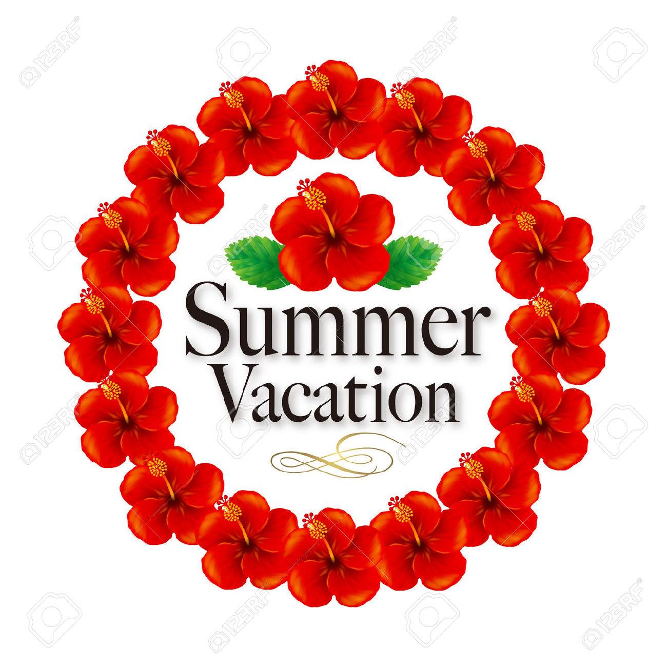 ハイビスカスのフレーム イラスト トロピカル イメージ の写真素材 画像素材 Image