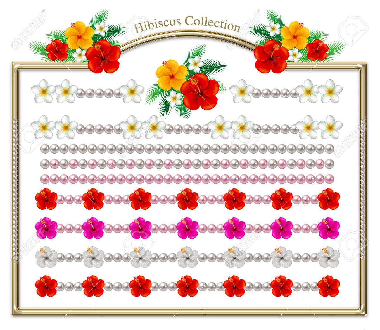 ハイビスカスと真珠の飾り 花と宝石のイラスト の写真素材 画像素材 Image