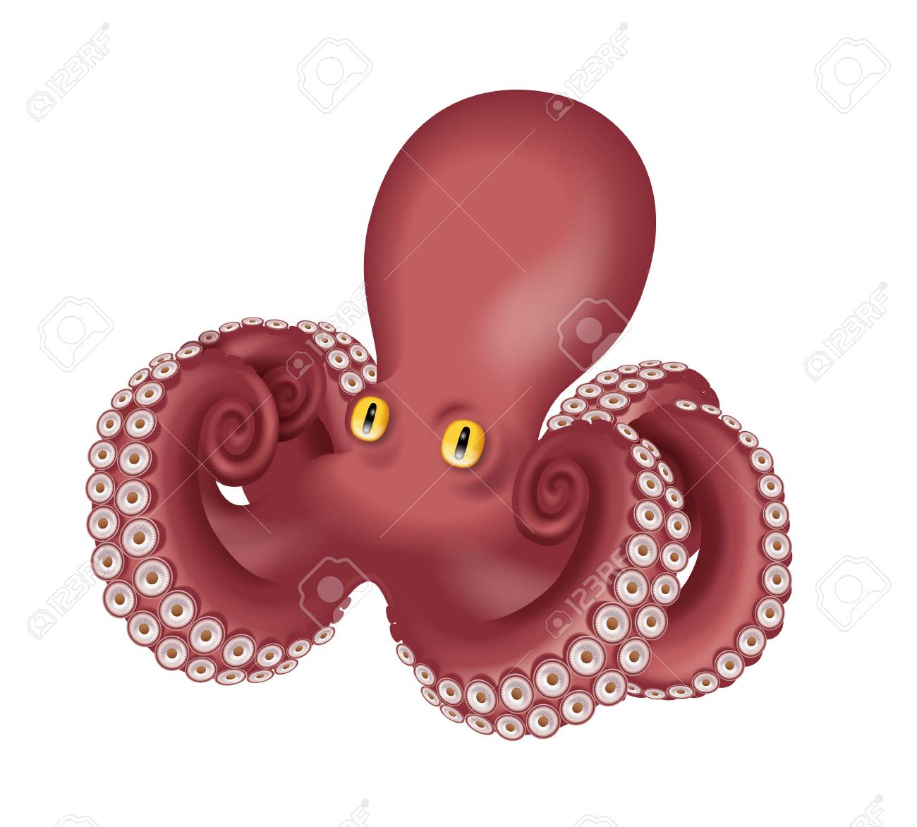 タコのイラストです の写真素材 画像素材 Image 4369