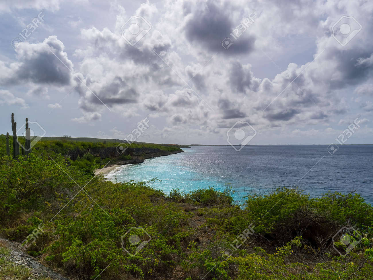 etiam-dictum-ipsum-a-felis