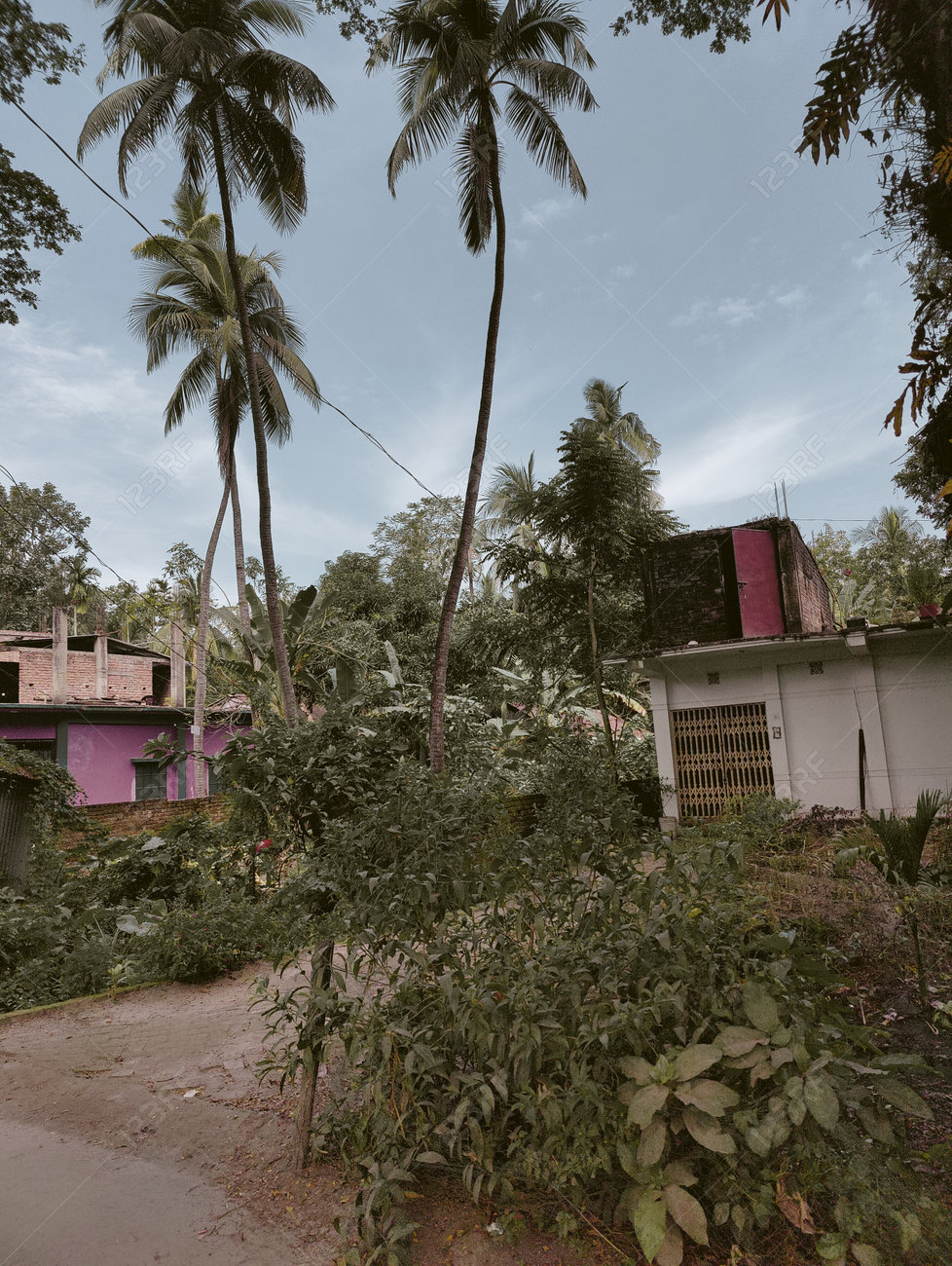 etiam-dictum-ipsum-a-felis