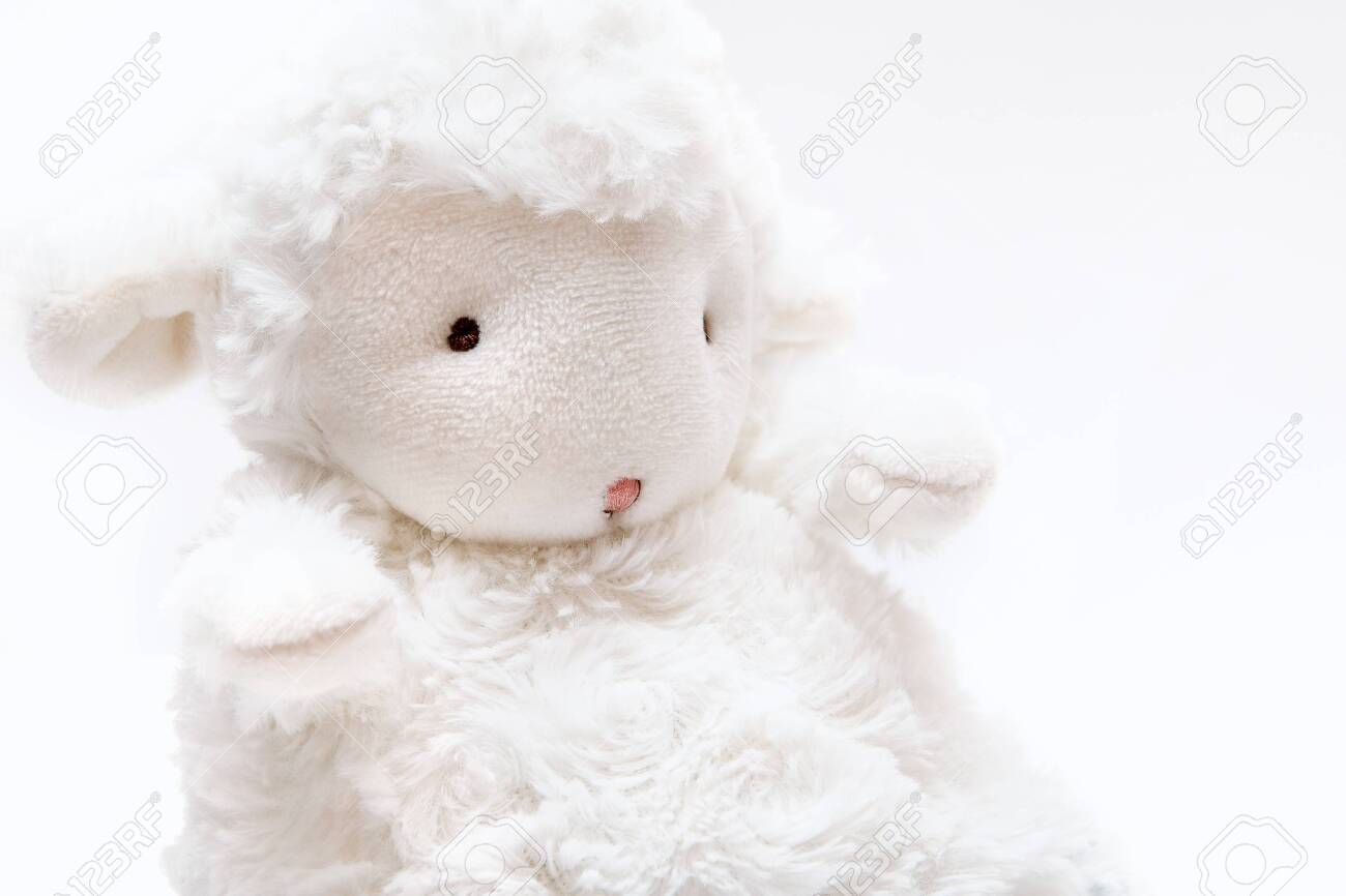 sheep soft toy
