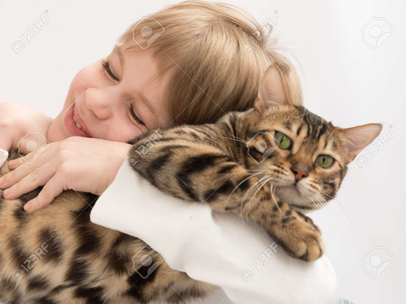 The child hugs the cat tightly. The cat is unhappy. Love to the animals. Enjoyment of communication. Close-up portrait - 167358498 The child hugs the cat tightly. The cat is unhappy. Love to the animals. Enjoyment of communication. Close-up portrait - 167358498