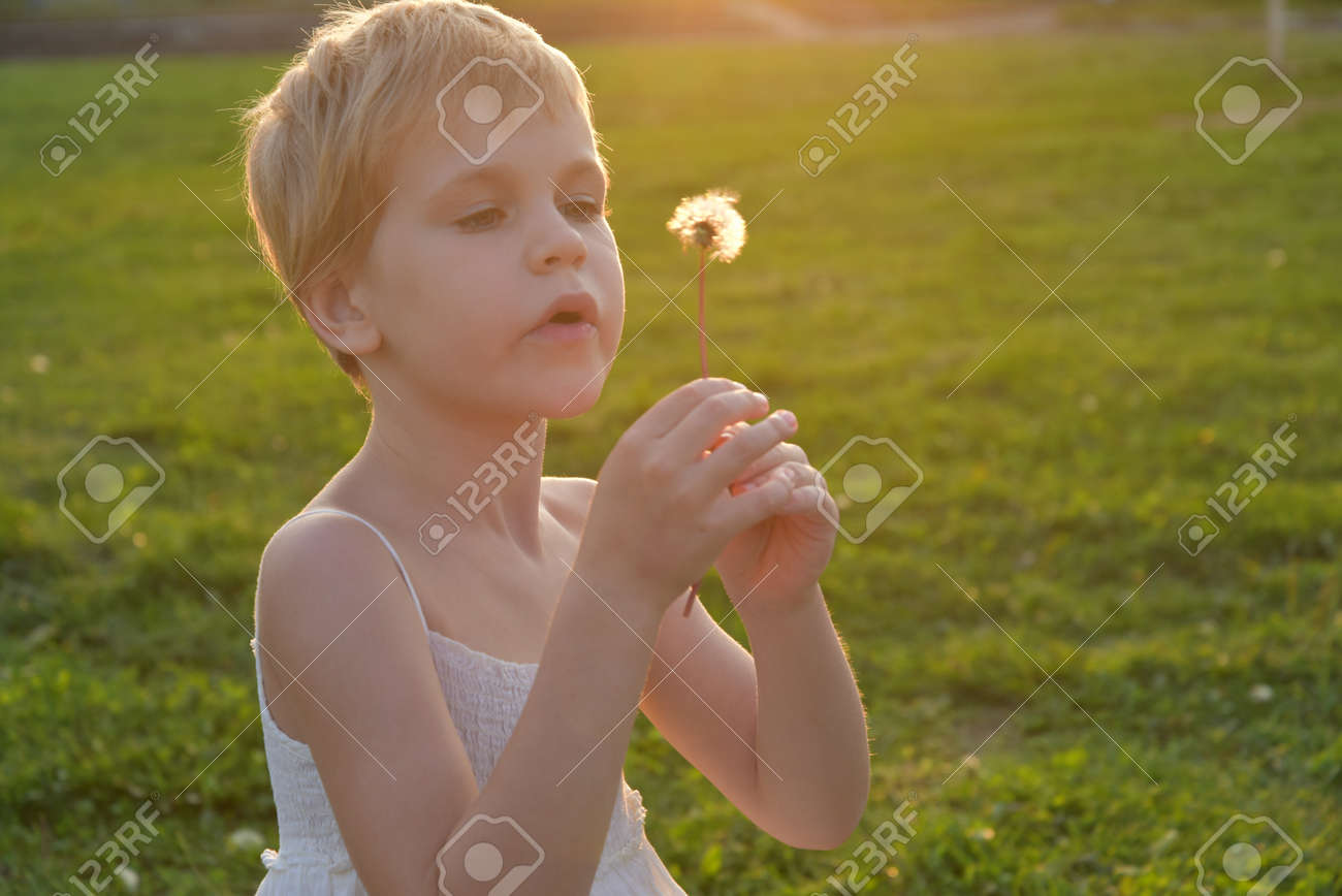 little girl looks at a fluffy dandelion. The rays of the setting sun, glare and backlight. The concept of childhood dreams and innocence - 168593049 little girl looks at a fluffy dandelion. The rays of the setting sun, glare and backlight. The concept of childhood dreams and innocence - 168593049