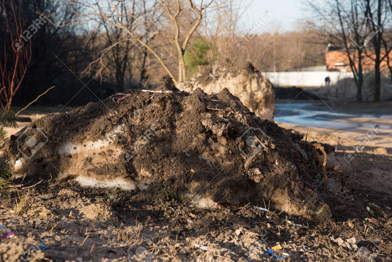 A large pile of dirty melting snow. The concept of the coming of spring and melting snow - 168593416 A large pile of dirty melting snow. The concept of the coming of spring and melting snow - 168593416
