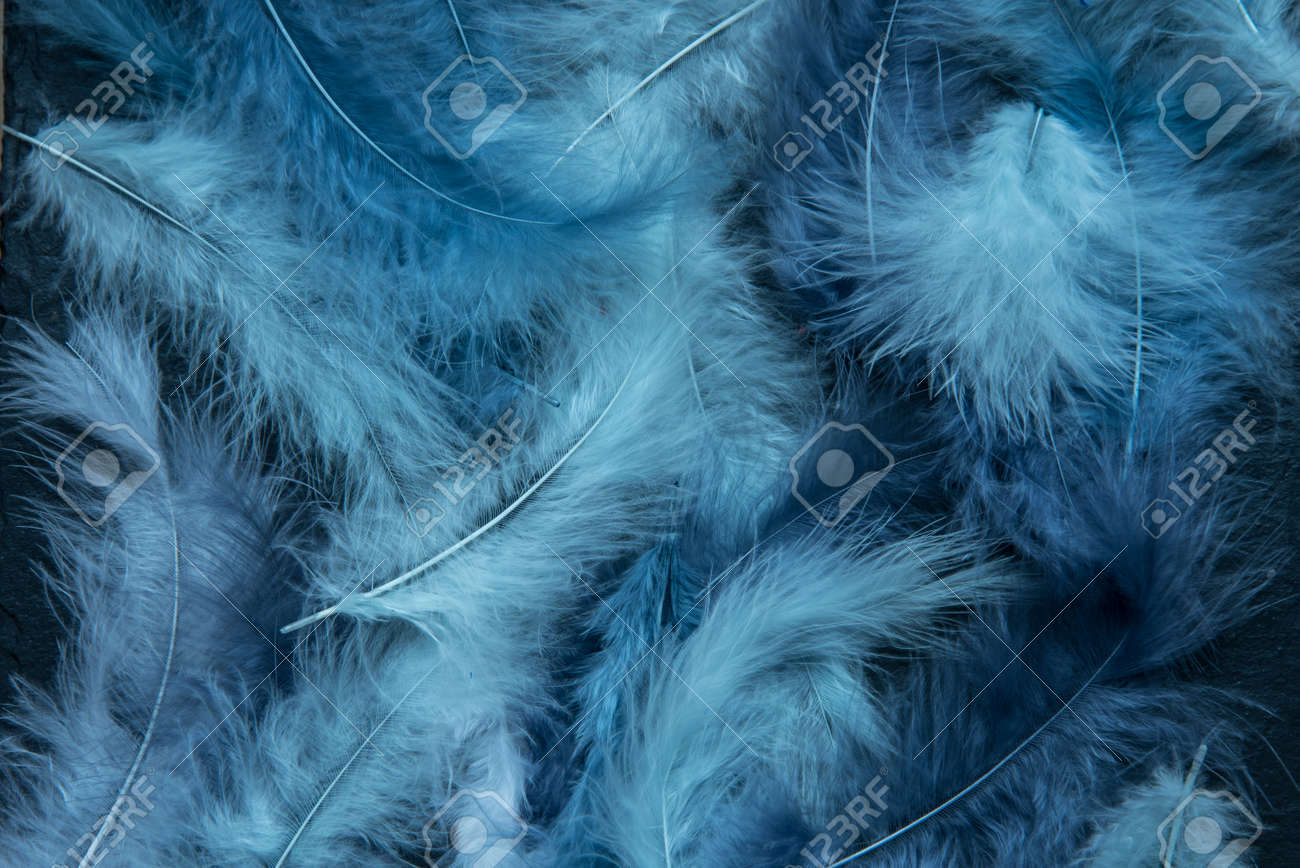 Feathers of delicate blue shades. Background, texture. Abstract and stylish background. Smooth lines and texture of feather, down - 168593951 Feathers of delicate blue shades. Background, texture. Abstract and stylish background. Smooth lines and texture of feather, down - 168593951
