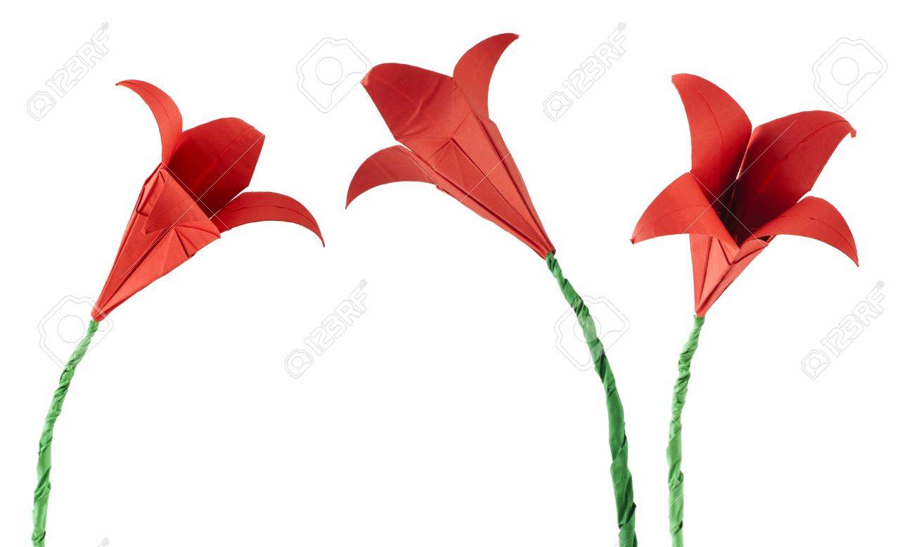red flower origami white isolated paper made flowers stock photo paper made flower