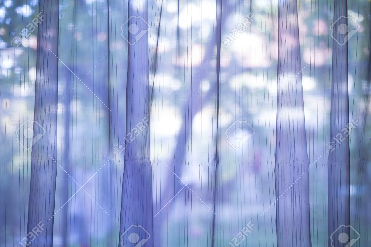 Purple transparent curtain on a window - 23158557 Purple transparent curtain on a window - 23158557