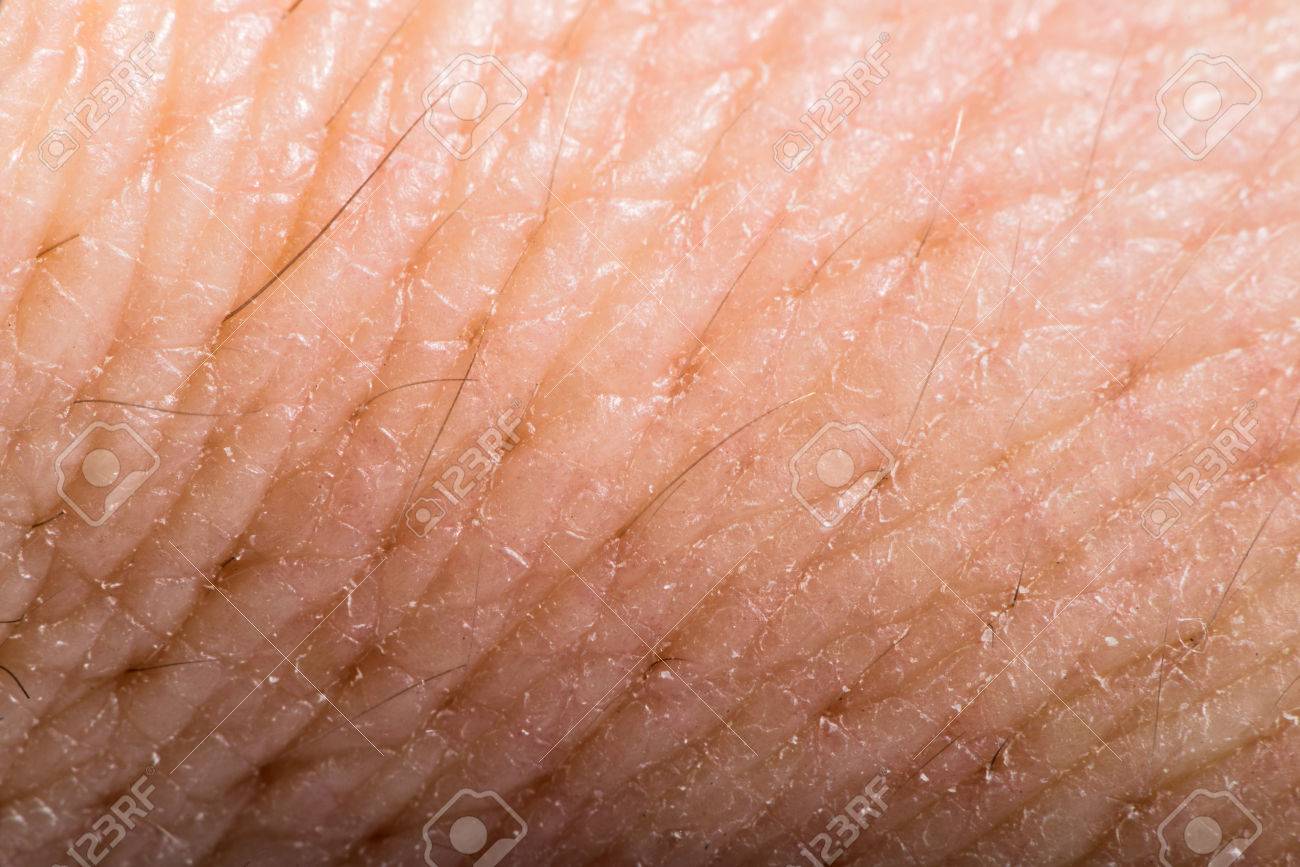Close up human skin. Macro epidermis texture - 24848825 Close up human skin. Macro epidermis texture - 24848825