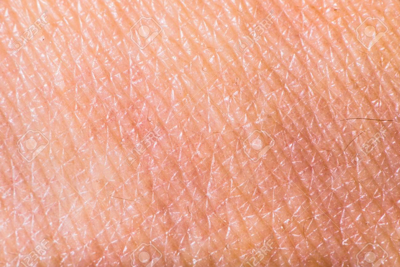 https://previews.123rf.com/images/deyangeorgiev/deyangeorgiev1401/deyangeorgiev140100210/25039700-texture-of-human-skin-extreme-close-up-macro-shot.jpg