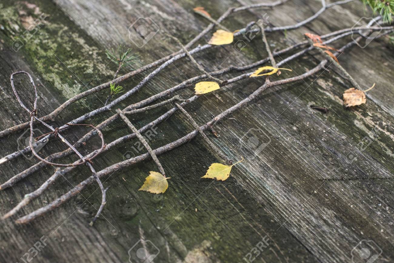 Musical notes conception. Wooden musical notes and leaves - 44400993 Musical notes conception. Wooden musical notes and leaves - 44400993