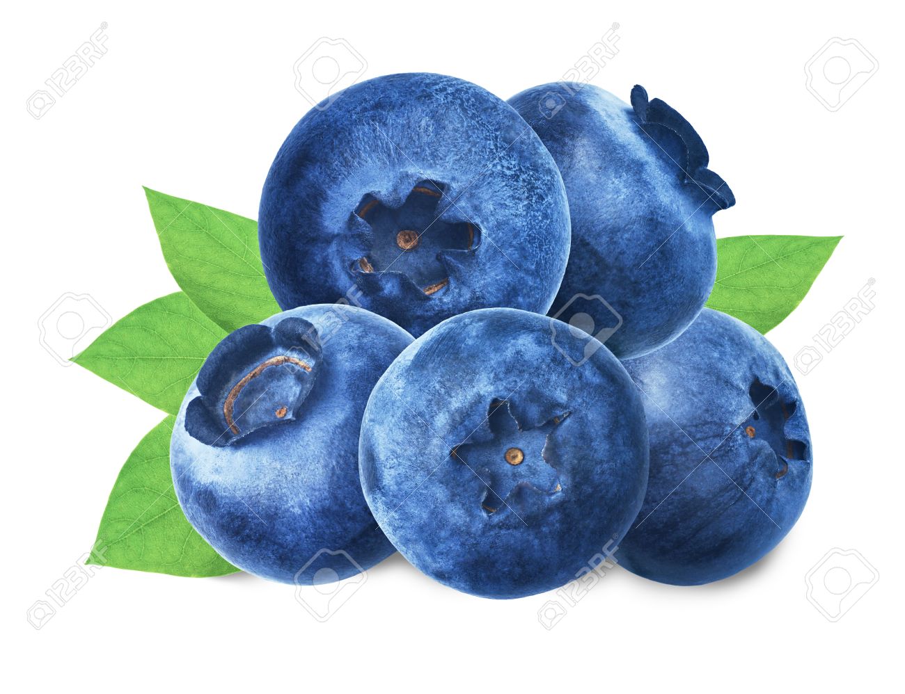 What is useful blueberries 57 What is useful blueberries 38