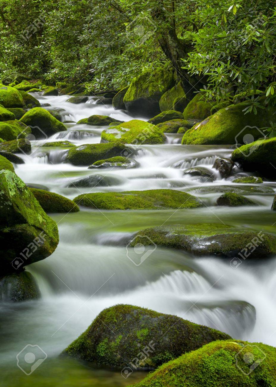 Silky water cascading over bright green moss-covered boulders in a Tennessee stream - 19014350 Silky water cascading over bright green moss-covered boulders in a Tennessee stream - 19014350