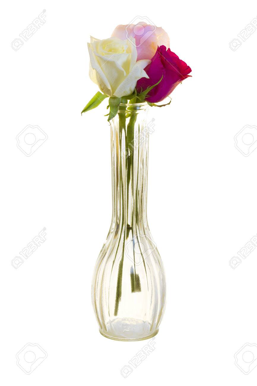 Red White And Lavender Long Stem Roses In A Vase Isolated On
