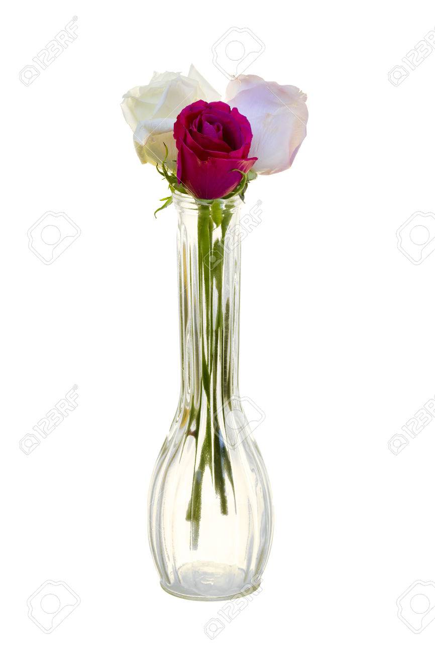 Red White And Lavender Long Stem Roses In A Vase Isolated On
