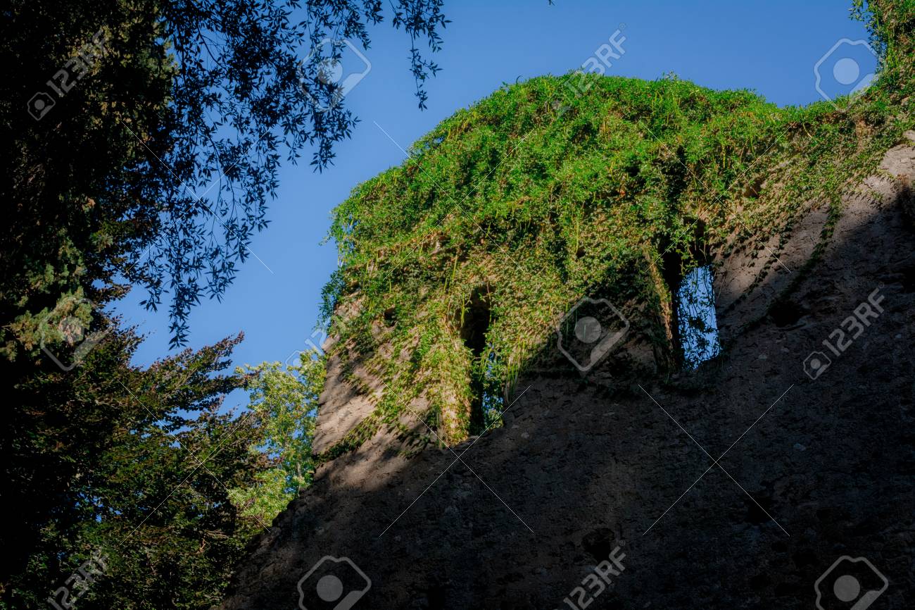 etiam-dictum-ipsum-a-felis