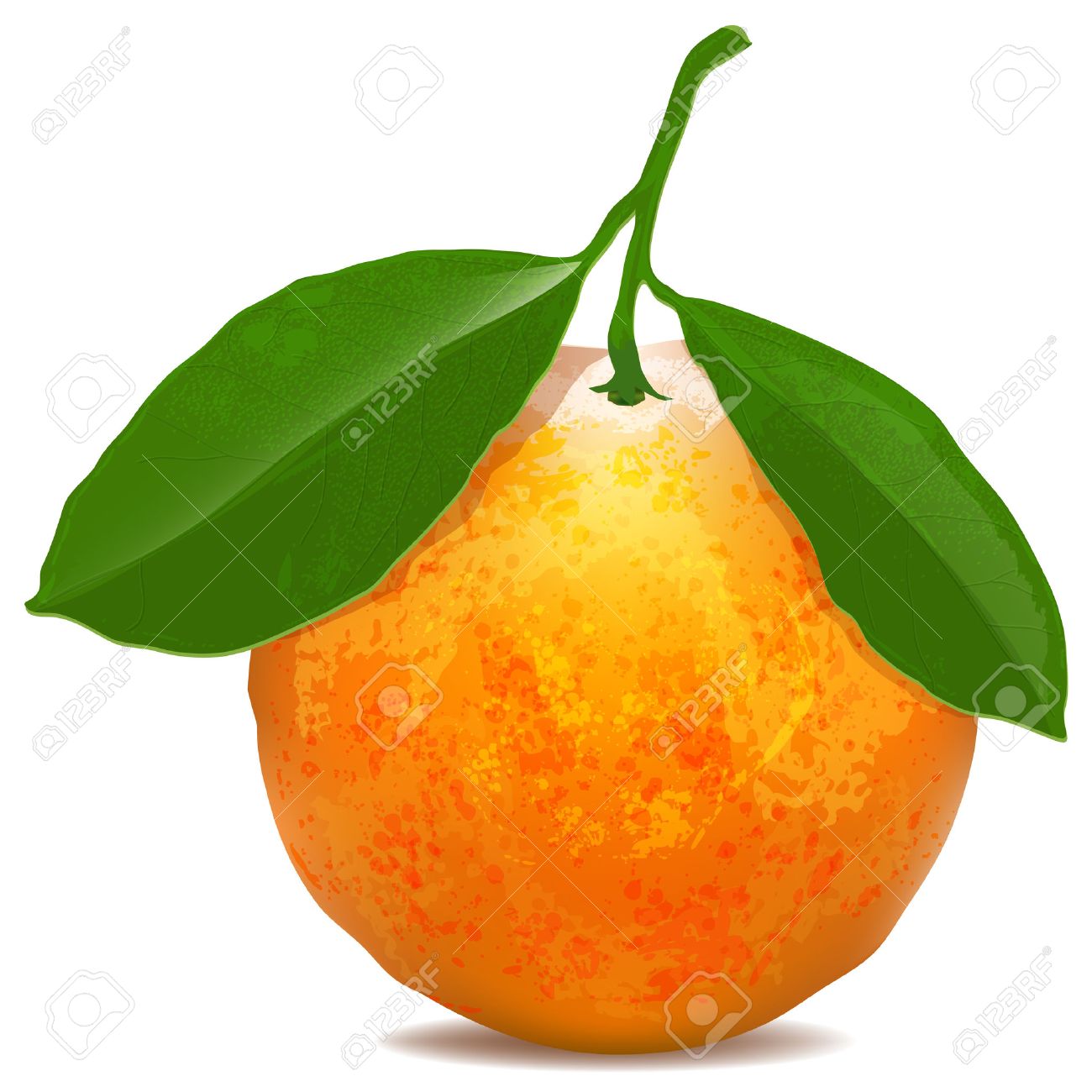 Tangerine With Leaves Isolated On White Background. Digital ... for Drawing Orange Fruit
568zmd Tangerine With Leaves Isolated On White Background. Digital ... for Drawing Orange Fruit
568zmd