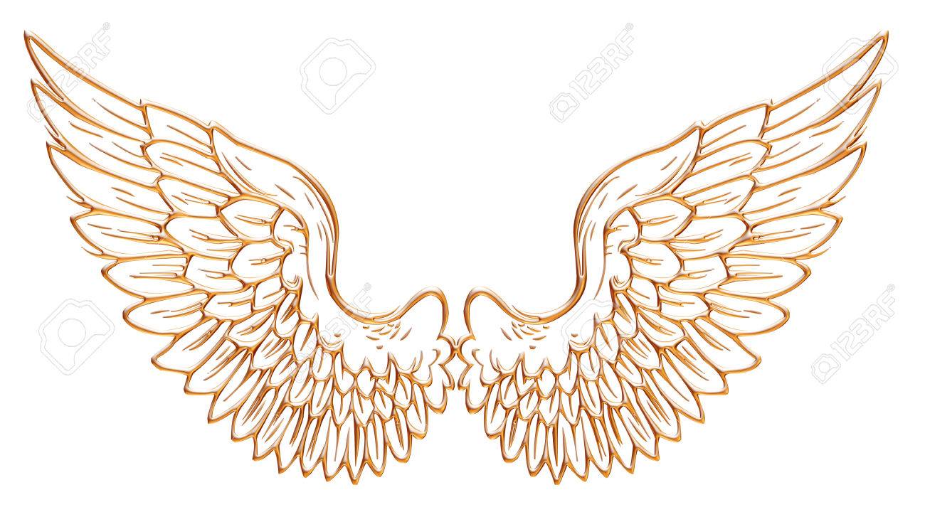 Golden Eagle Wing Isolated On White Background. Stock Photo, Picture and  Royalty Free Image. Image 32420653., image size:1300x713