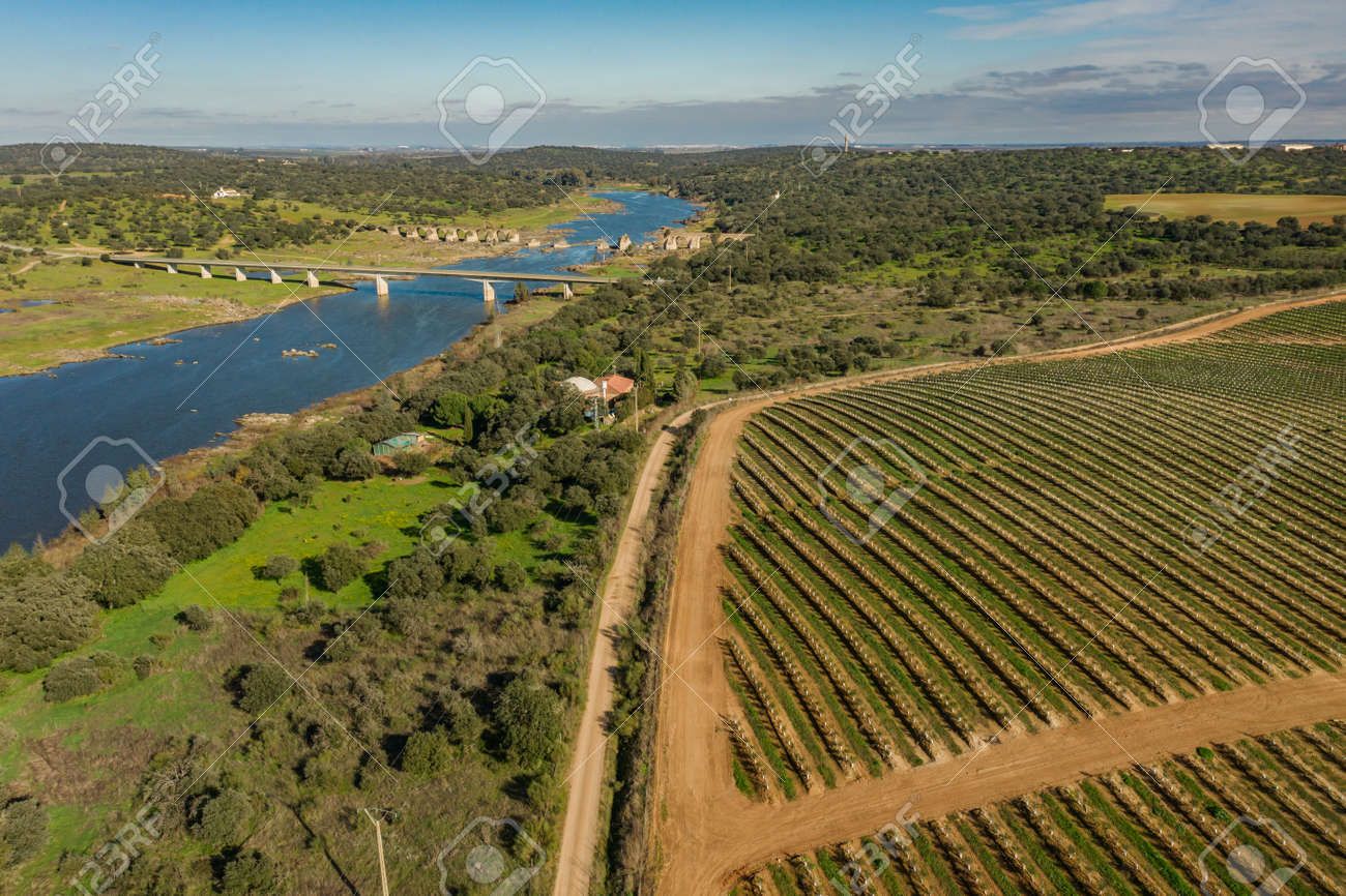 Aerial view of the industrial griculture landscape and the river Guadiana in Olivenza Extremadura Spain - 165012376 Aerial view of the industrial griculture landscape and the river Guadiana in Olivenza Extremadura Spain - 165012376