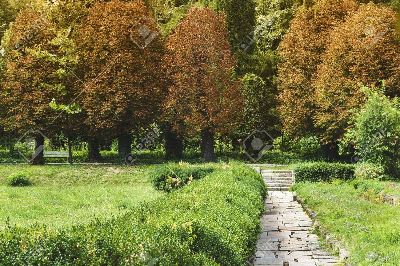 The Passage to Summer