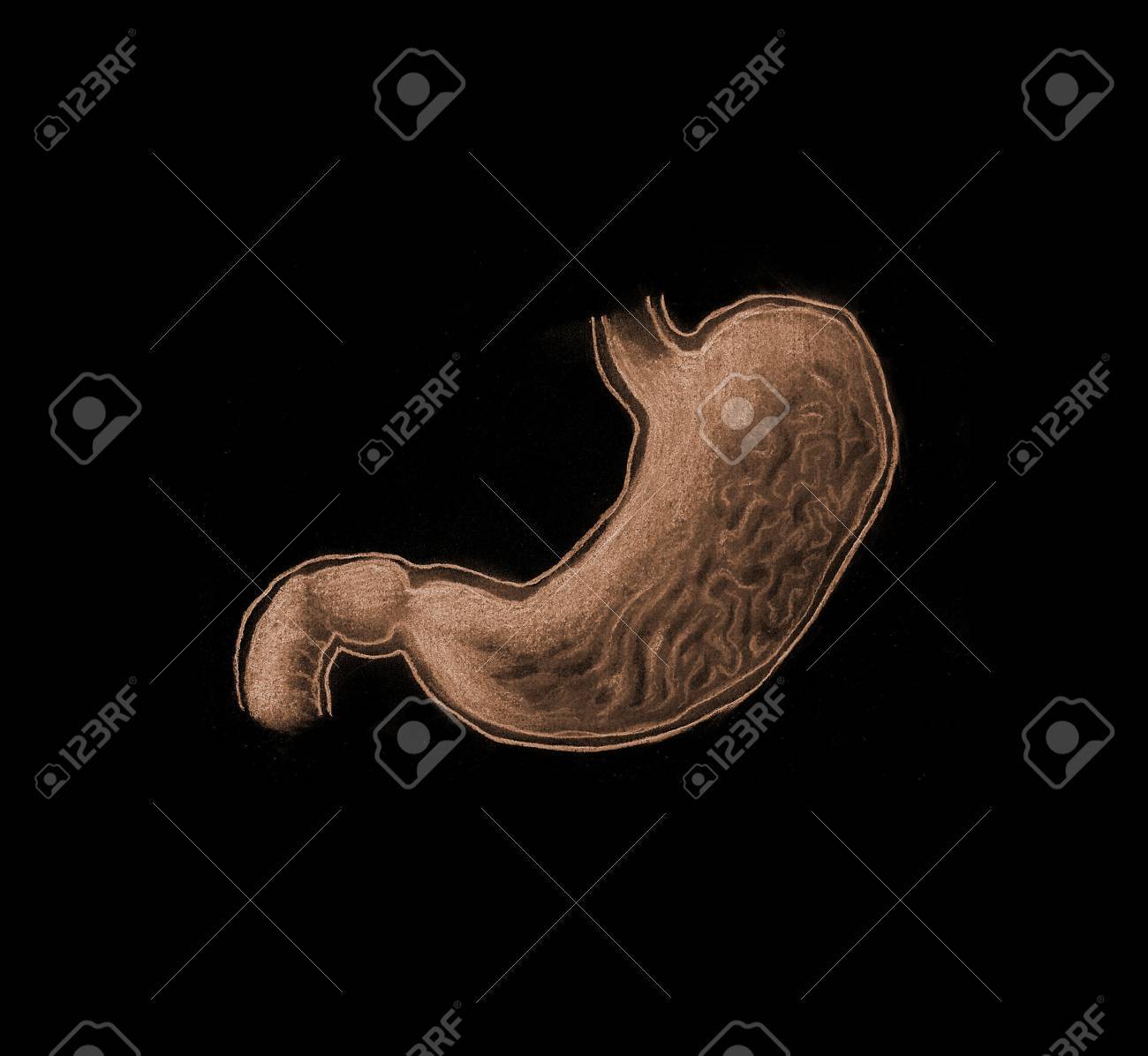 etiam-dictum-ipsum-a-felis