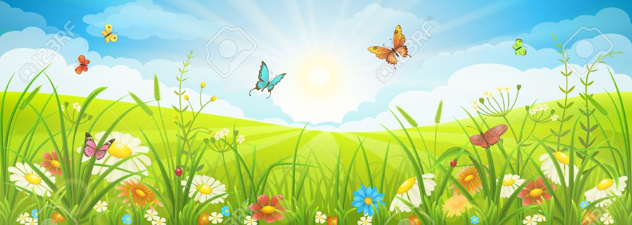 Floral summer or spring landscape, meadow with flowers, blue sky and butterflies - 53040418 Floral summer or spring landscape, meadow with flowers, blue sky and butterflies - 53040418