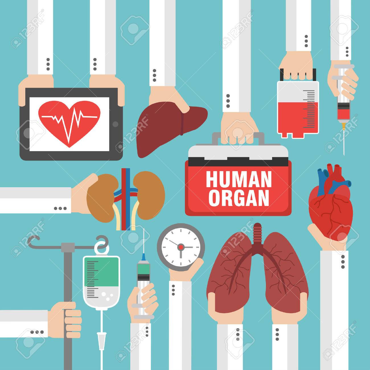 臓器移植デザイン フラットのイラスト素材 ベクタ Image