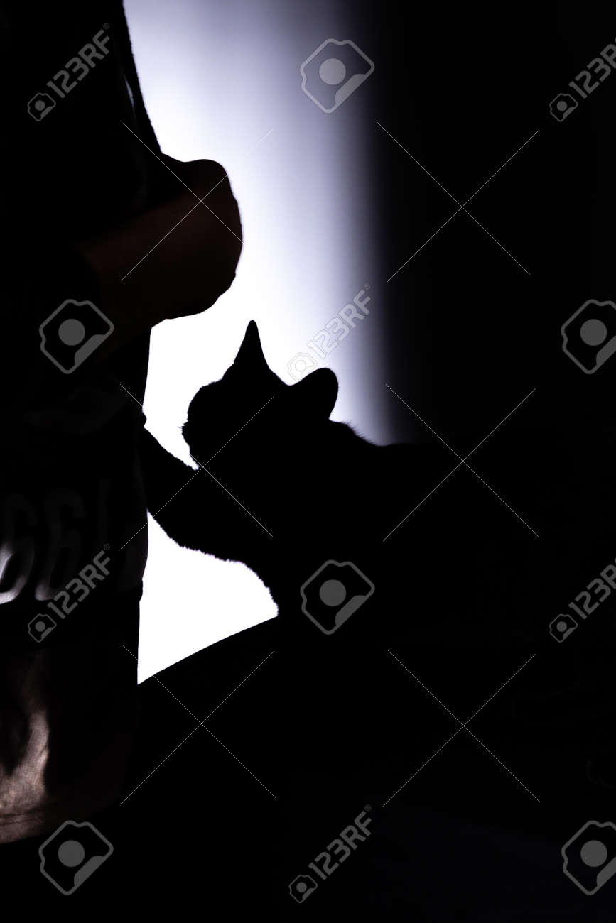 etiam-dictum-ipsum-a-felis
