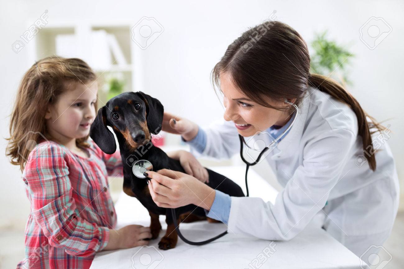 Child With Her Pet At The Veterinary Doctor Stock Photo, Picture And Royalty Free Image. Image 57026611. Child With Her Pet At The Veterinary Doctor Stock Photo, Picture And Royalty Free Image. Image 57026611.