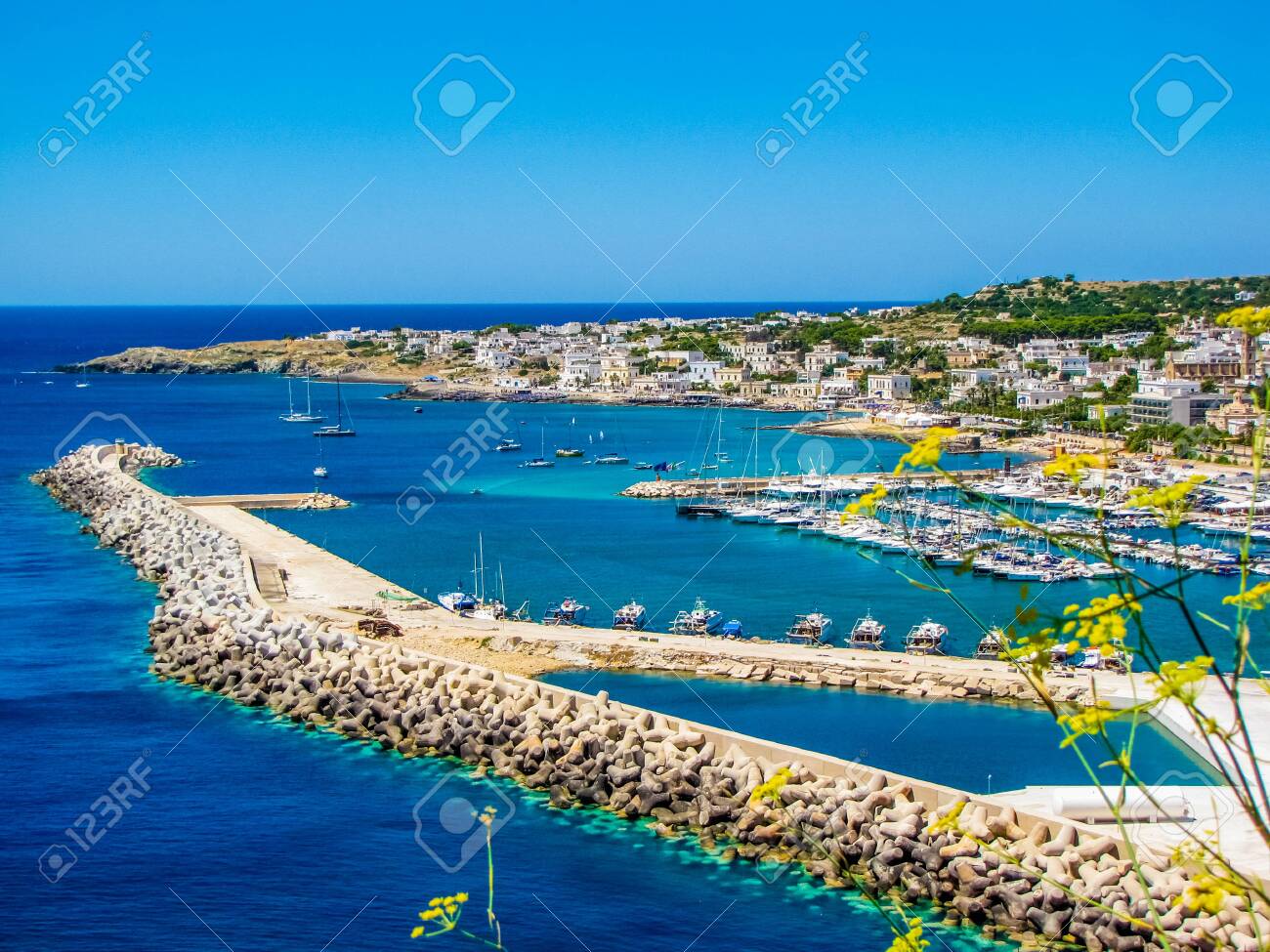 etiam-dictum-ipsum-a-felis