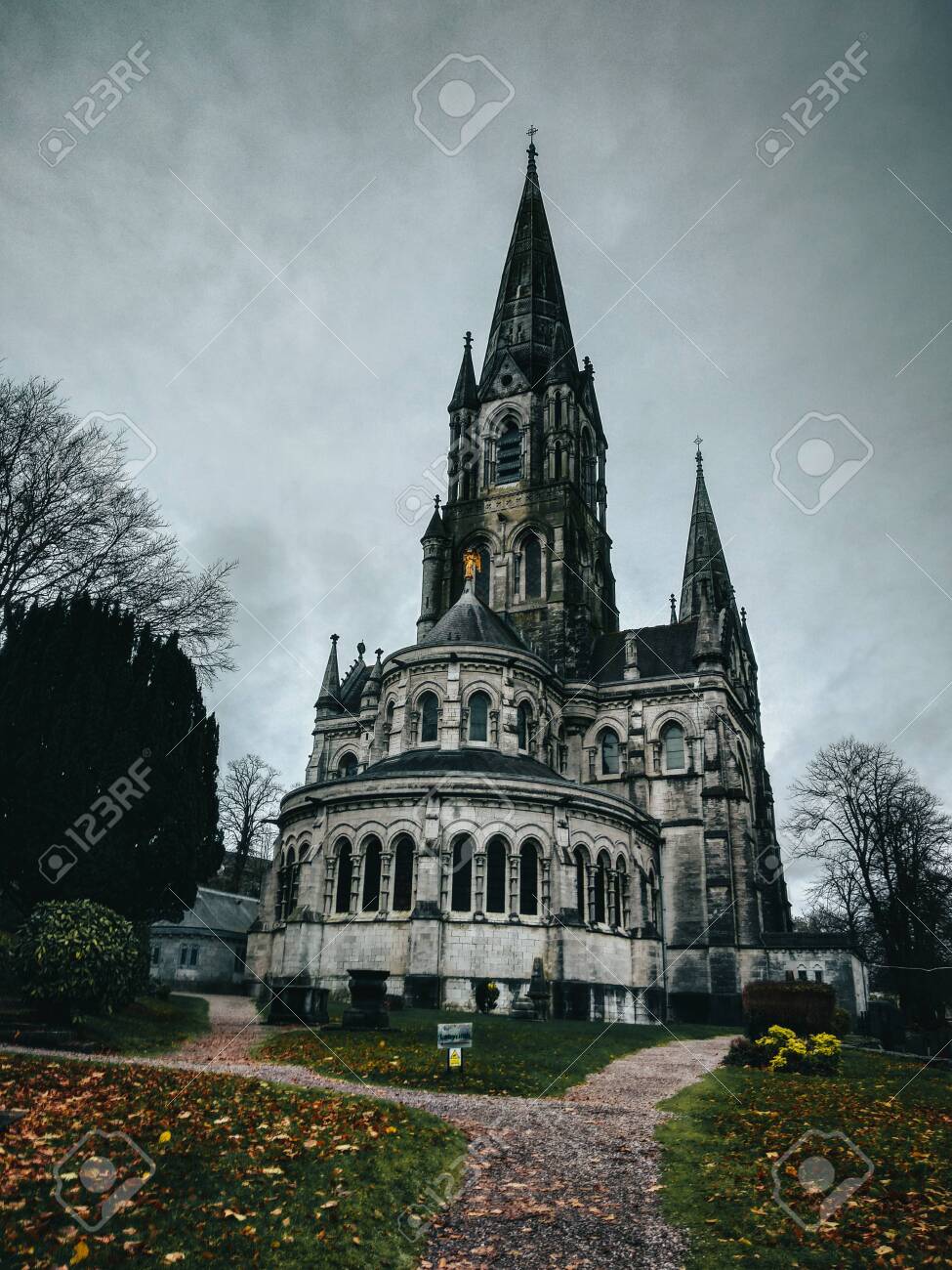 etiam-dictum-ipsum-a-felis