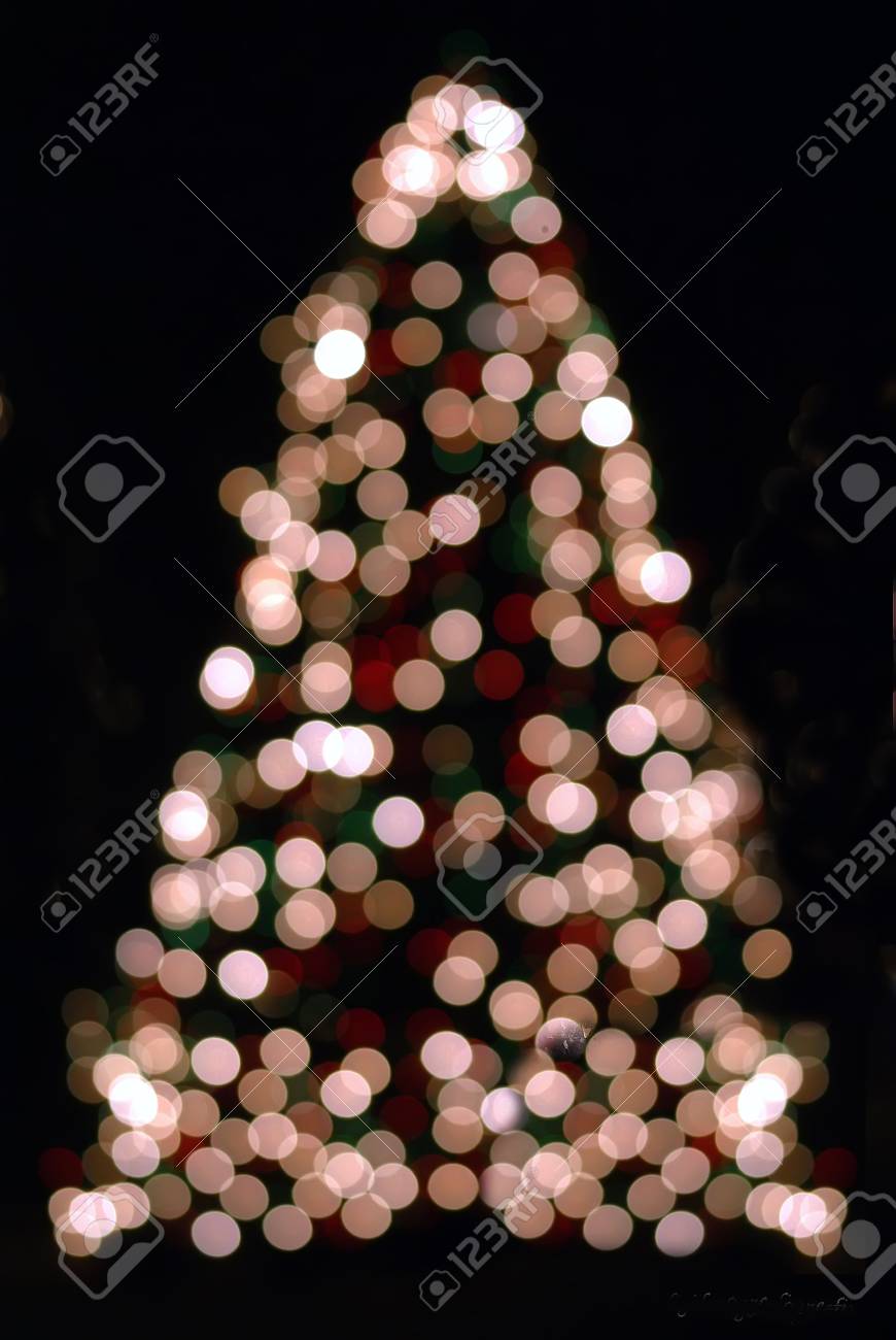 Christmas Tree Out Of Focus Stock Photo Picture And Royalty Free Image Image Christmas Tree Out Of Focus Stock Photo Picture And Royalty Free Image Image