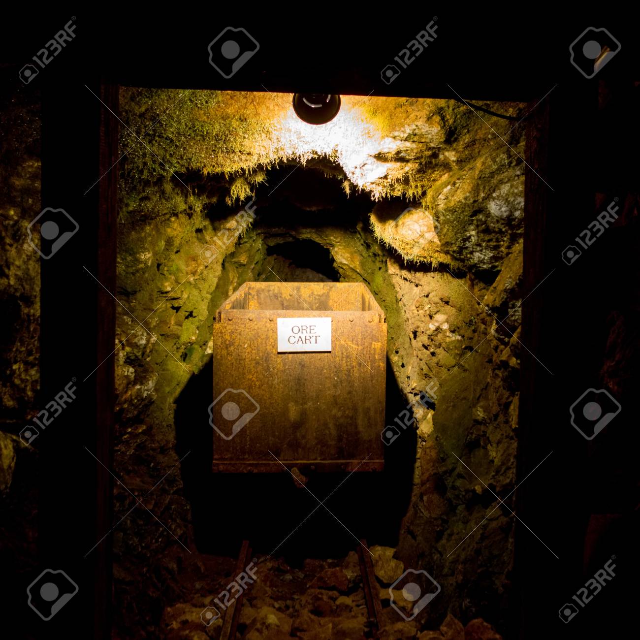 etiam-dictum-ipsum-a-felis