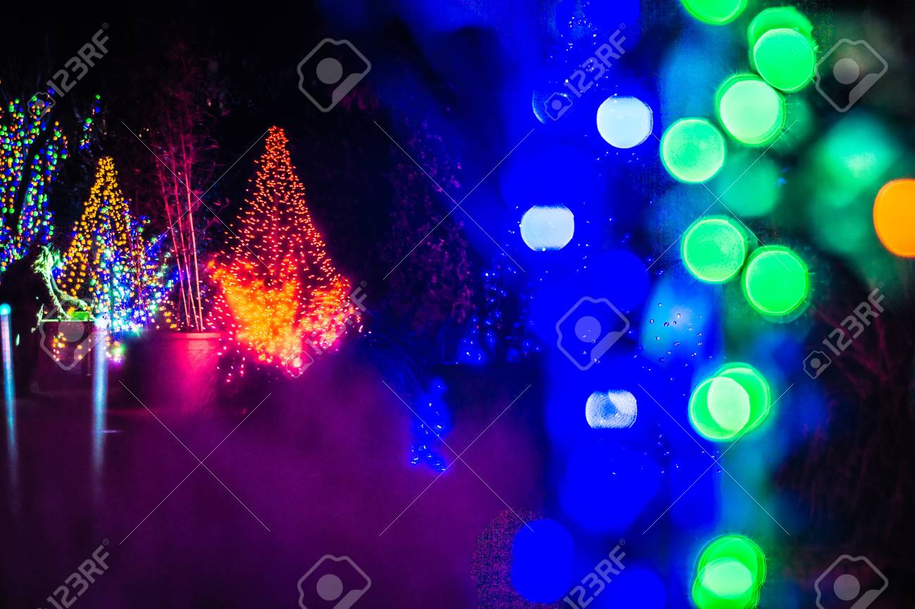 Addobbi Natalizi Luci.Immagini Stock Addobbi Natalizi Decorazioni E Luci Ai Giardini Image 92857278