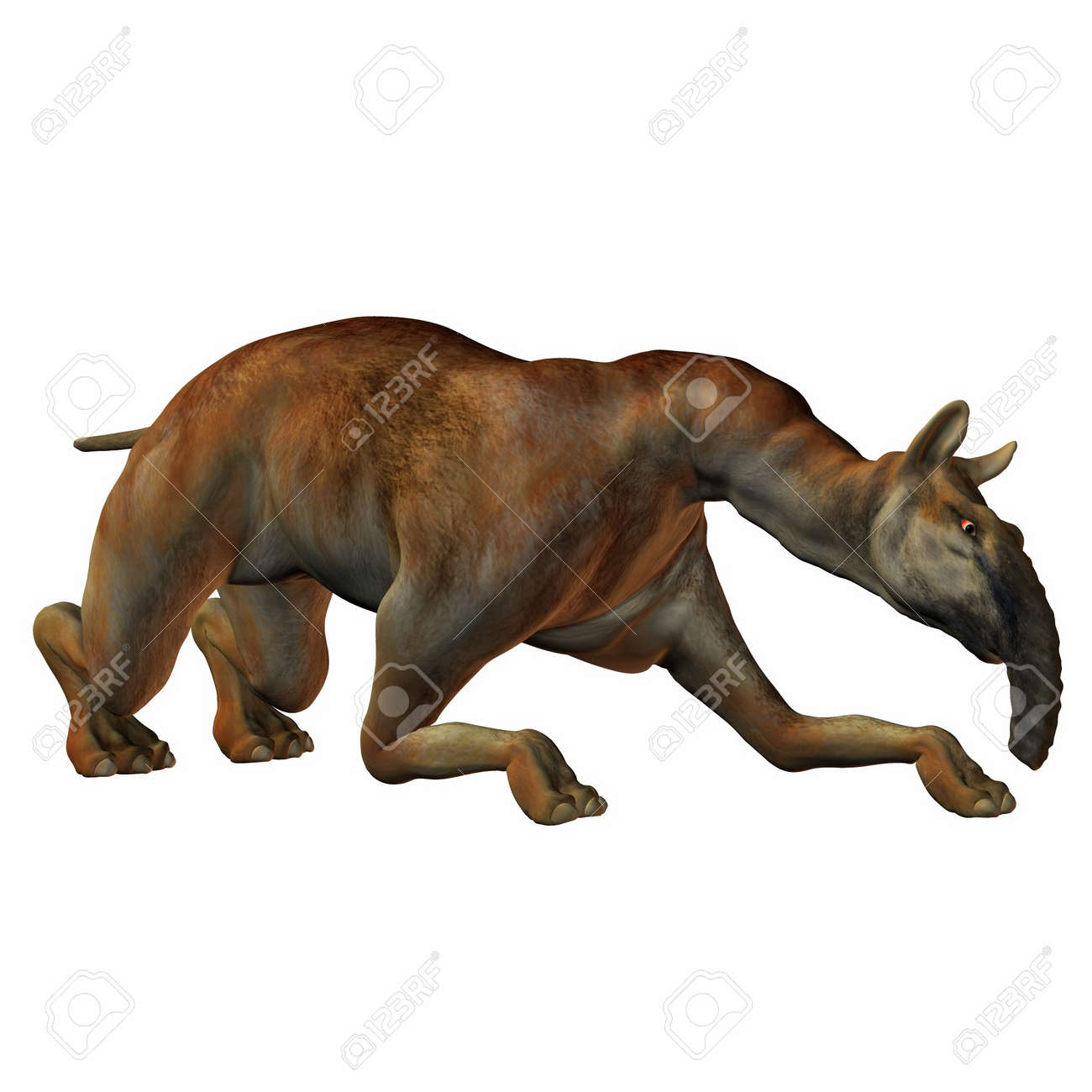 etiam-dictum-ipsum-a-felis